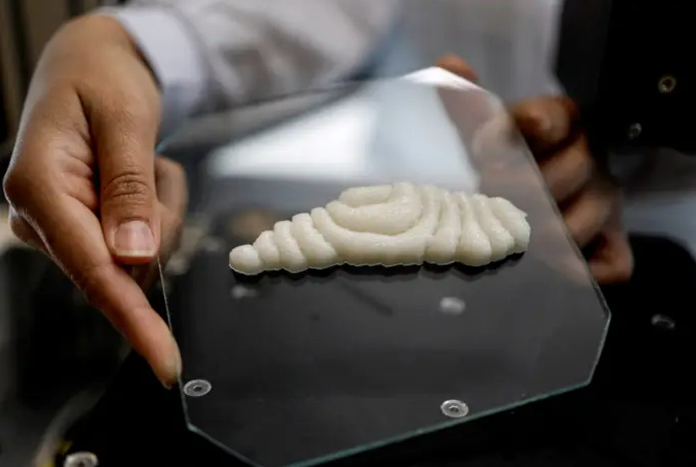 Filés de peixe impressos em 3D criados pelas startups Steakholder Foods e Umami Meats — Foto: Divulgação/Steakholder Foods