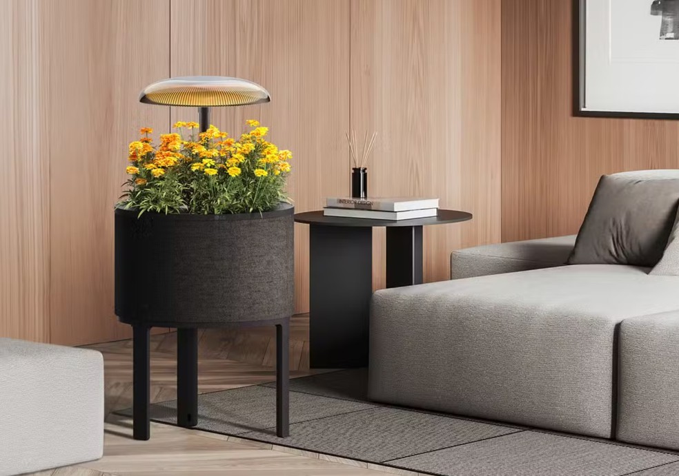 LG exibe luminária com vaso acoplado em sua base que permite o cultivo de flores — Foto: Divulgação