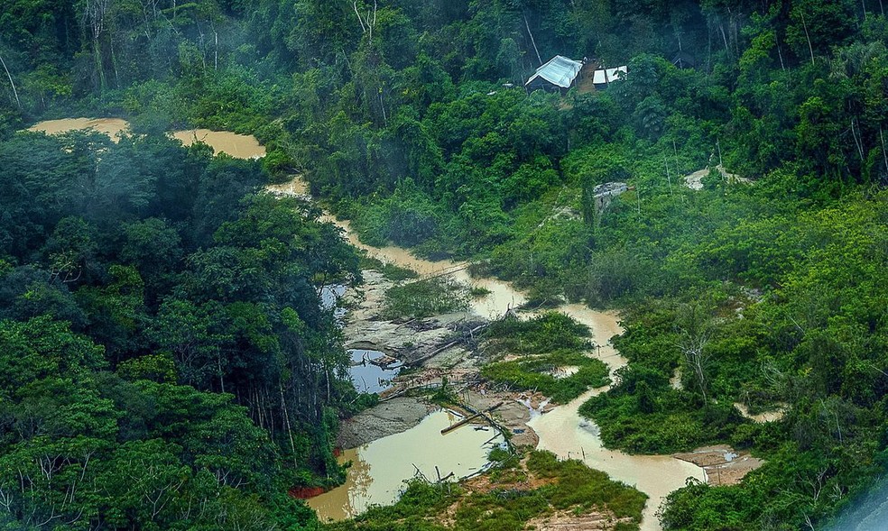 Sobrevoo sobre área indígena onde ocorre garimpo ilegal — Foto: Leo Otero/MPI