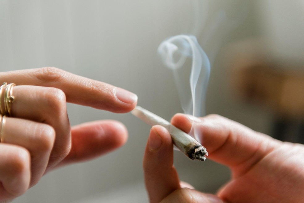BBC News fonte — Foto: Pessoas que usam cannabis com THC de 10% ou mais têm cinco vezes mais chance de desenvolver um transtorno psicótico, em comparação com aquelas que não usam a droga
