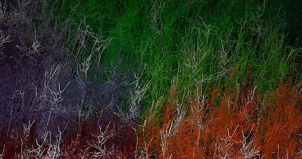 A simulação realizada no supercomputador Fugaku mostra a evolução da dinâmica biológica do córtex do rato — Foto: B Isralewitz/K Akira Tamura/K DalL Green/B Herrera/TYamazak/A Arkhipov