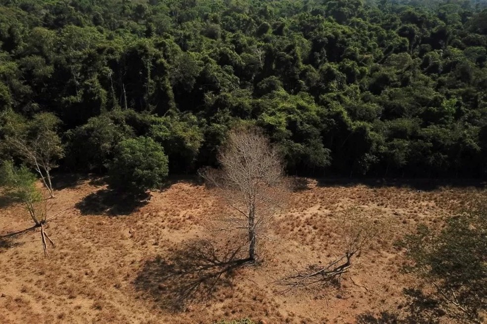 No Cerrado, houve aumento de 16,5% nos alertas de desmatamento do bioma entre agosto de 2022 e julho de 2023 — Foto: REUTERS/AMANDA PEROBELLI via BBC