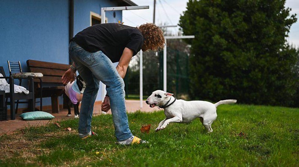 Atividades diárias como brincar com as crianças ou animais de estimação podem melhorar seu condicionamento físico — Foto: BBC News fonte