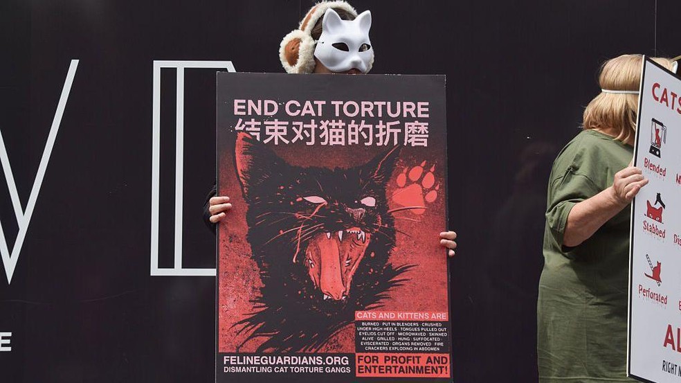 Protesto em Londres contra a tortura de gatos exibida na internet — Foto: BBC News fonte