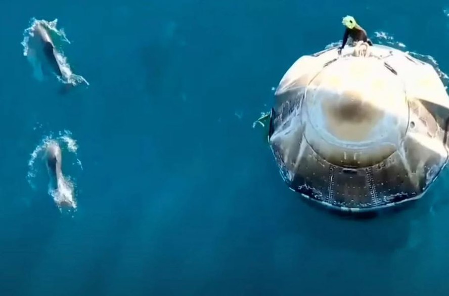 Grupo de golfinhos recepciona astronautas da Nasa na volta para a Terra;  veja o vídeo | Mundo | Época NEGÓCIOS