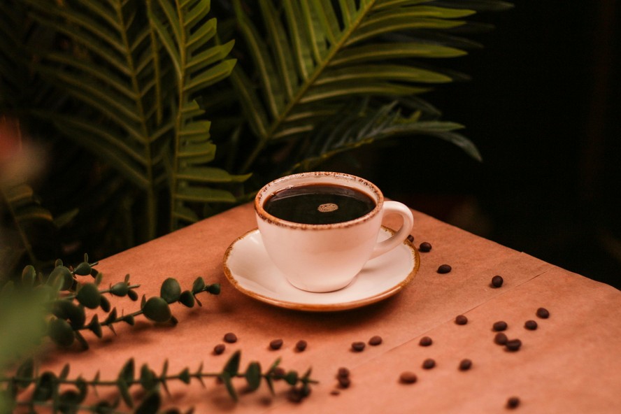 Tanto o café com cafeína quanto o descafeinado produzem benefícios distintos, mas complementares, sobre humor, cognição e estresse