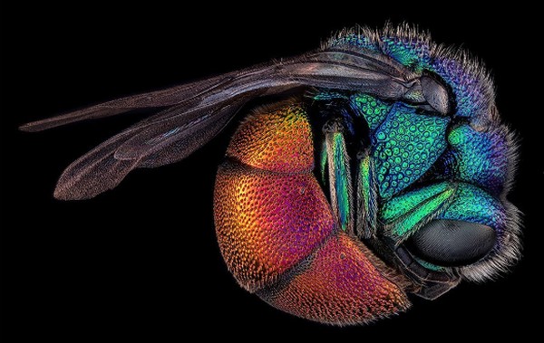 Fotógrafo cria processo inovador para combinar centenas de fotos e ...