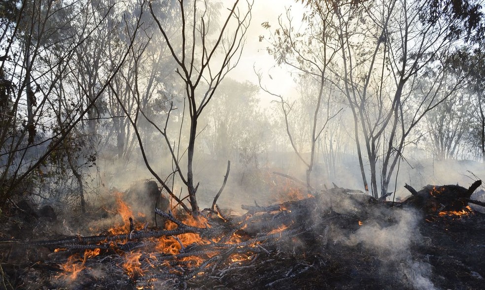 Fumaça de incêndios florestais no Canadá interrompe voos de Nova York — Foto: Valter Campanato/Agência Brasil