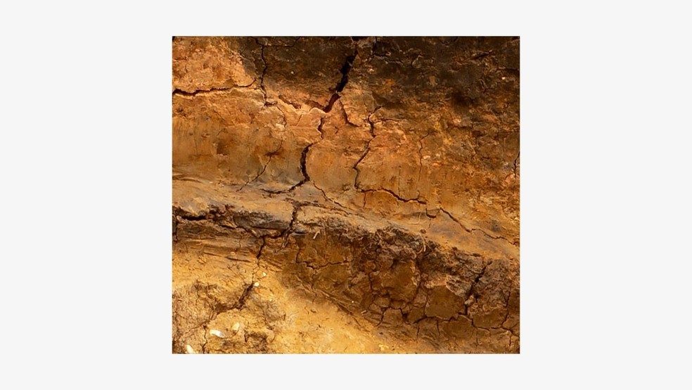 Estas são camadas antigas de argila. Quanto mais fundas, mais antigas elas são. — Foto: BBC News fonte