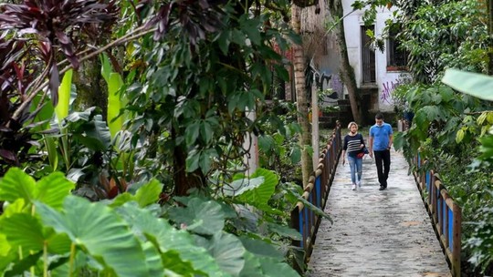 Os 'corredores verdes' de Medellín para combater calor extremo
