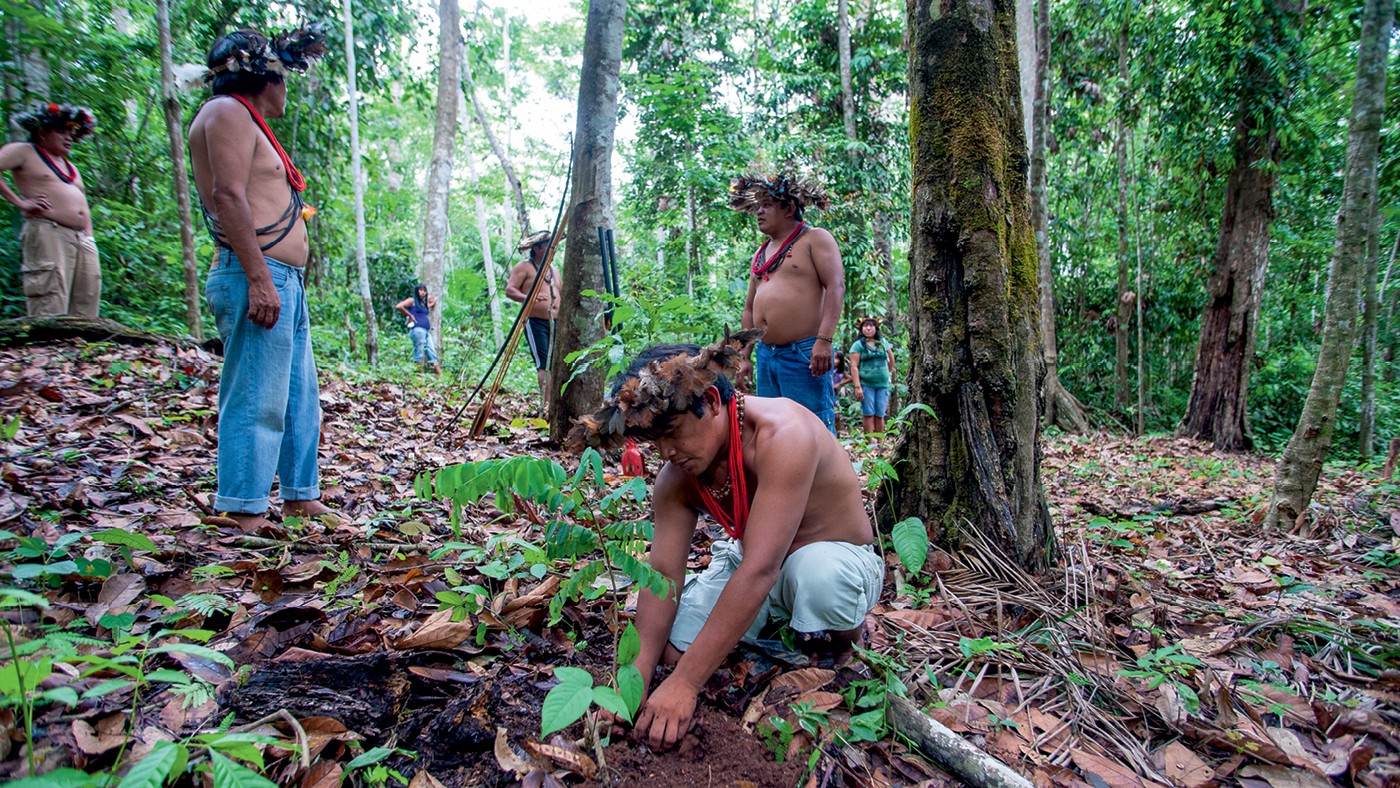 Você pagaria mais por um produto que ajudasse a conservar a floresta? - QTU Questões do Universo