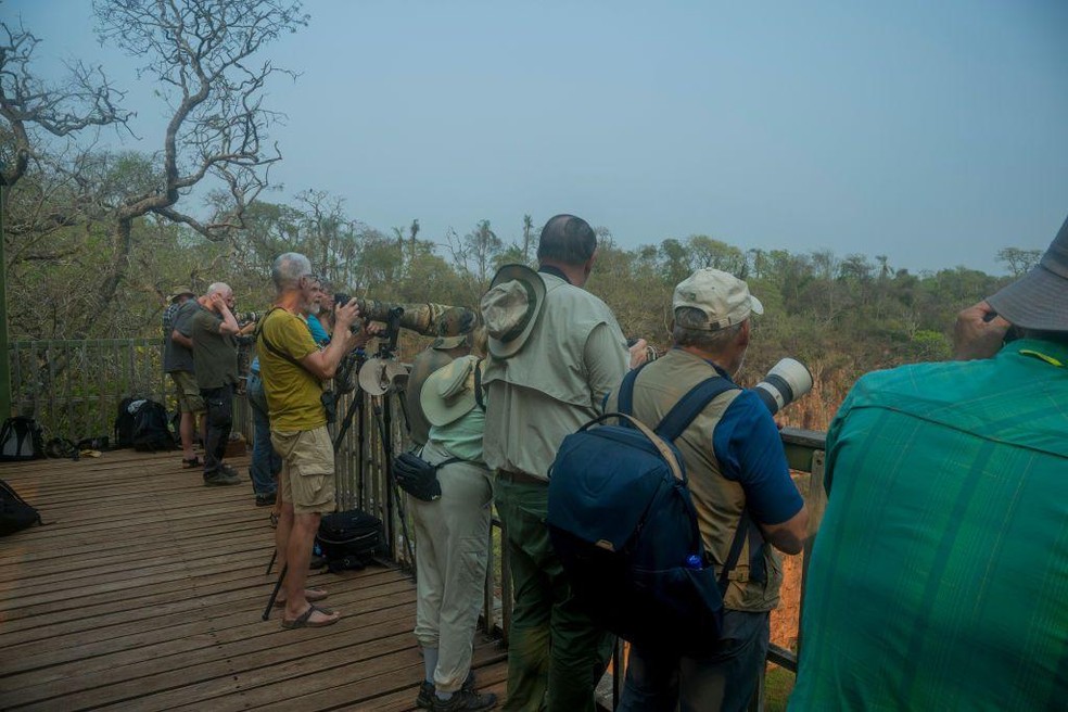 Turistas observam animais no Buraco das Araras, no Pantanal sul-mato-grossense — Foto: BBC News fonte