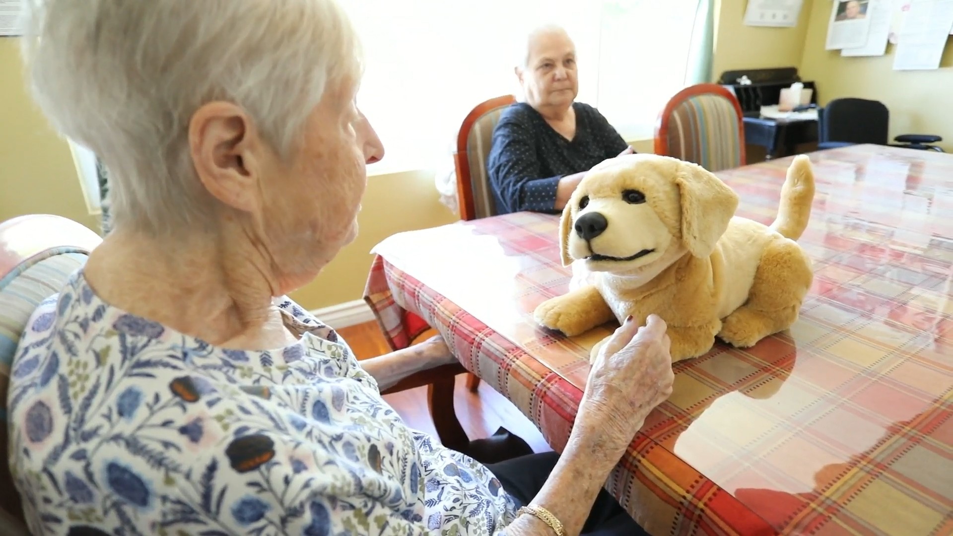 Lançamentos da CES 2026: confira os destaques do evento escolhidos por especialistas do CNET Group