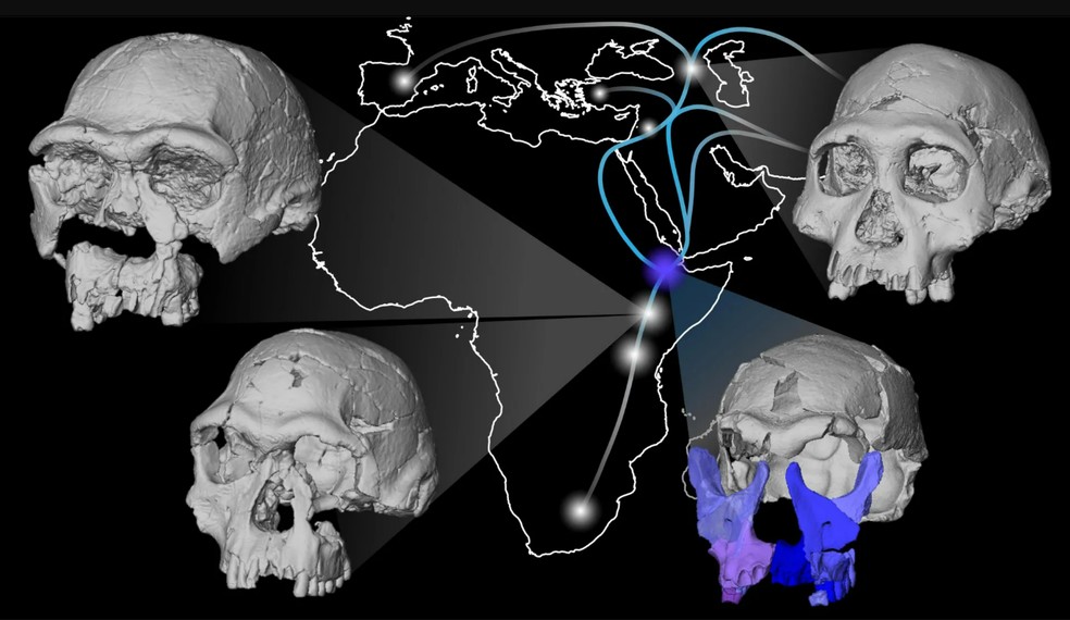 Mapa mostra rotas de migração possíveis do ancestral humano Homo erectus; imagem mostra também imagens da reconstrução do fóssil — Foto: National Museum of Ethiopia, National Museums of Kenya and Georgian National Museum