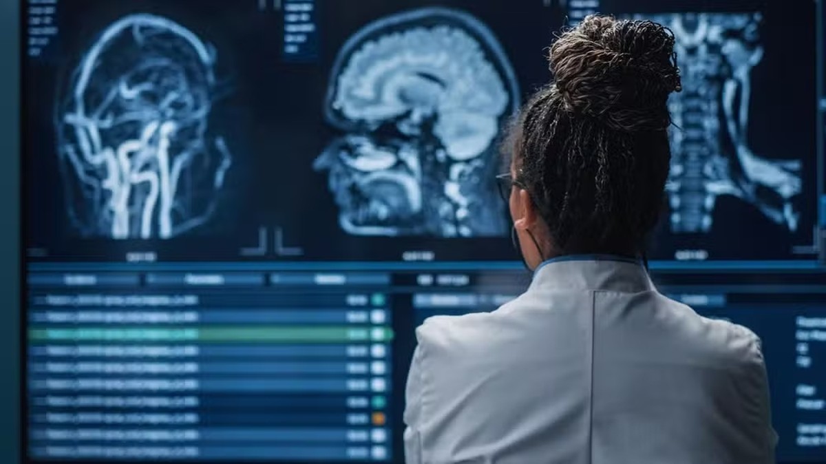As descobertas de neurocientista sobre o que se passa no cérebro ...