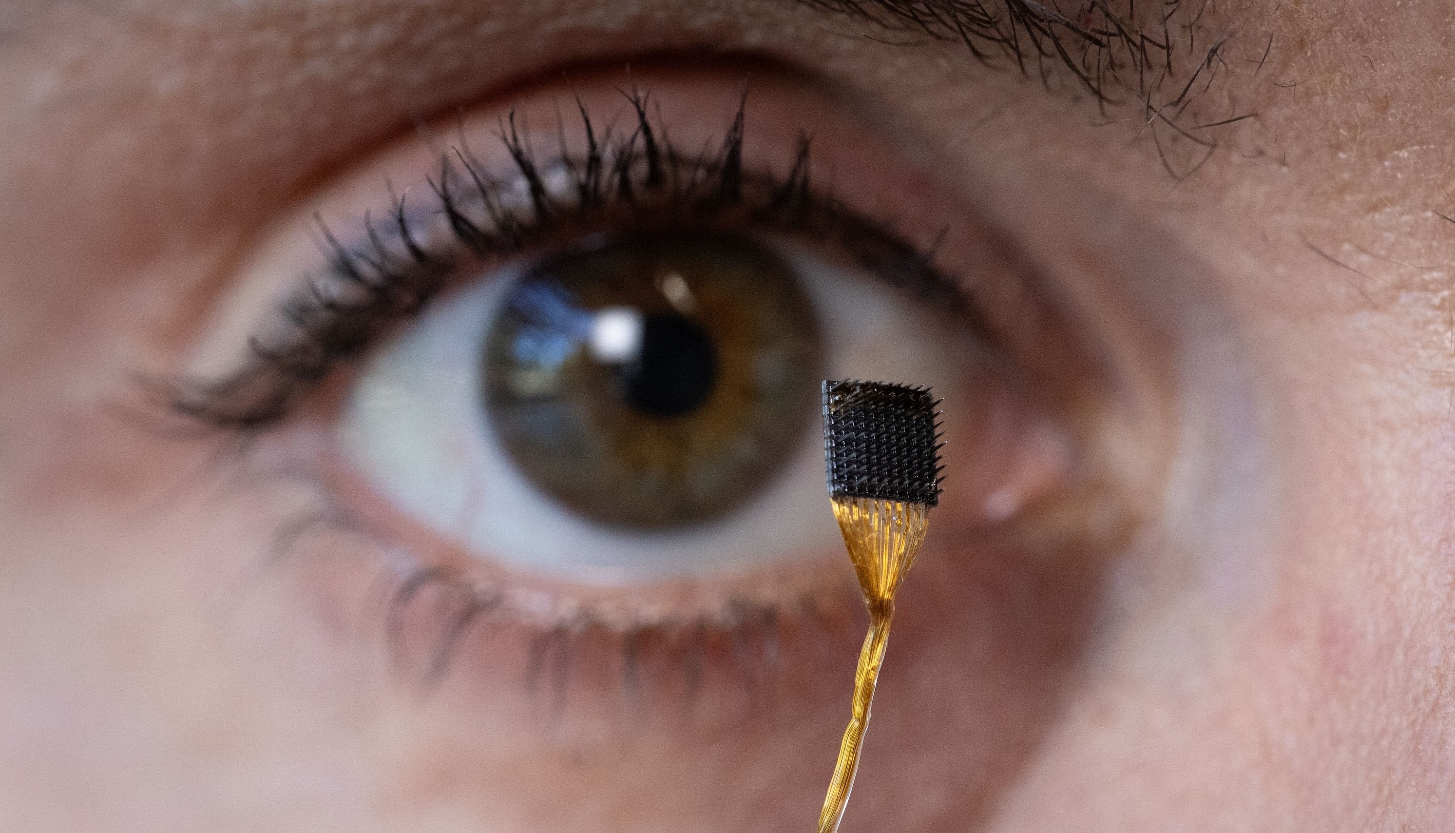 IMPLANTED MIND　エイハブ Implante Alvim CM, Titanio, 5.0X16 mm | Straumann Group - Neodent