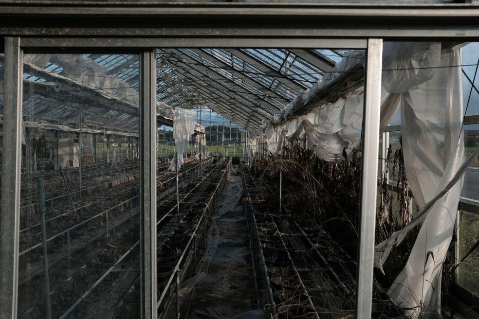 Uma estufa abandonada em Futaba, província de Fukushima, Japão — Foto: BBC News fonte