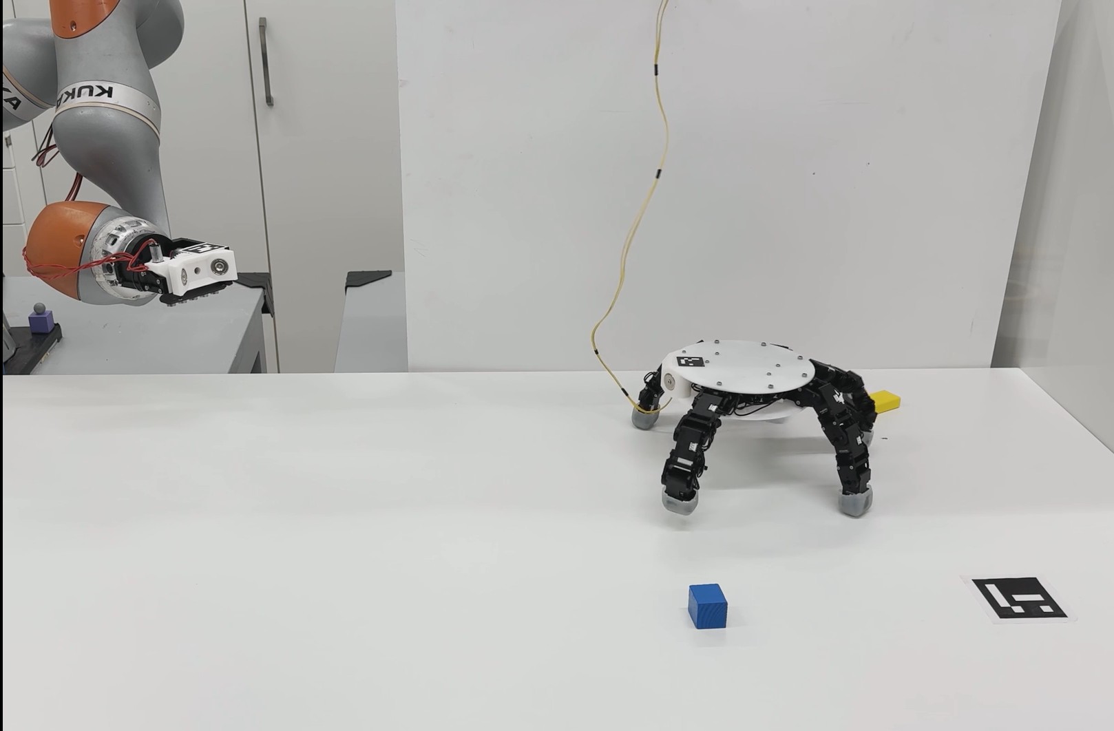 'Coisa' da Família Addams? Robô suíço se destaca do braço e caminha sozinho