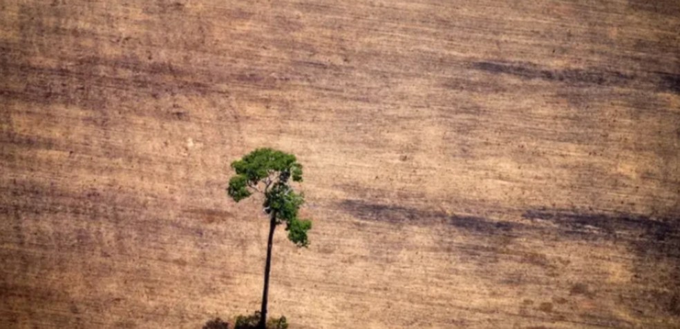 sem descrição — Foto: BBC News fonte